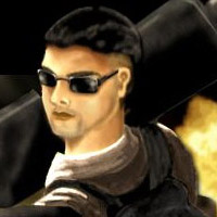 Chronicles of Raynor
