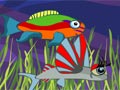 Fish Tank