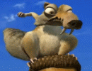 Gone Nutty