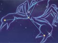 Horoscope Puzzle