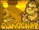 Slingshot