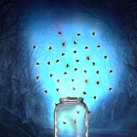 The Firefly Collector
