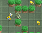 Warp forrest